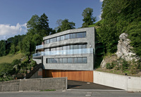 Grüne Schieferfassade am Berg Abb_02