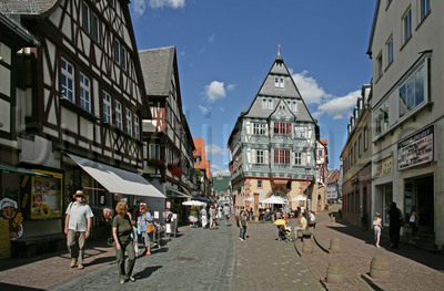 Denkmal-Biber in Miltenberg 1