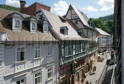 Denkmal-Biber in Miltenberg 2