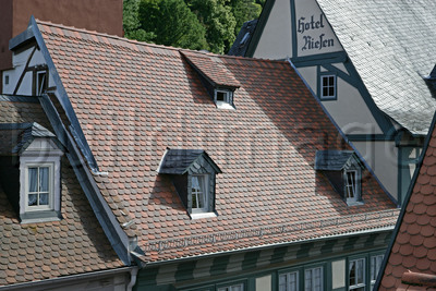 Denkmal-Biber in Miltenberg 3