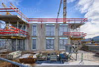 BHSteinen202010 205b 1