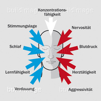 UNISchallschutz001_1