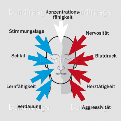 UNISchallschutz001