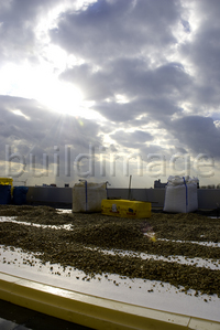 URSARAODach270208126