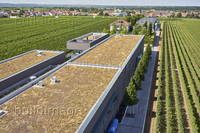 alwEllerstadt201608_Okto003